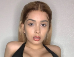 Model
