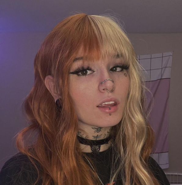 Model