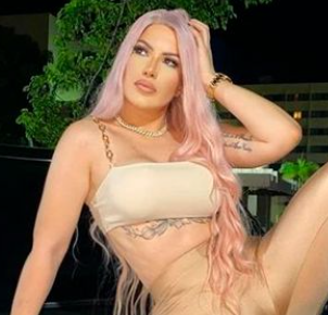 Model
