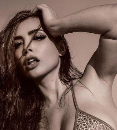 Model