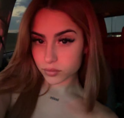 Model