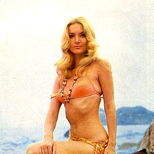 Model