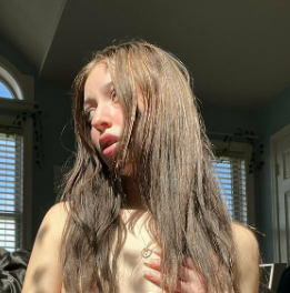 Model
