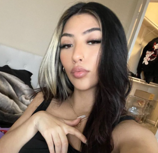 Model