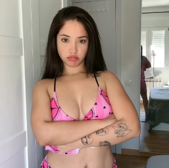 Model