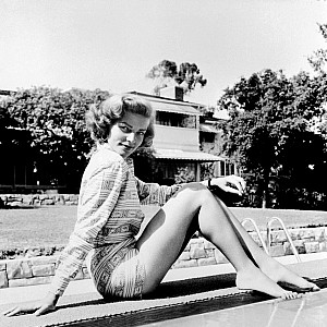Model