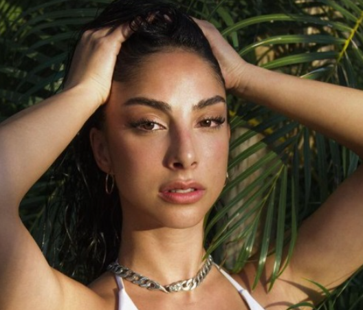 Model