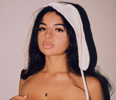 Model