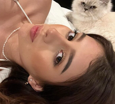 Model