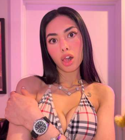 Model