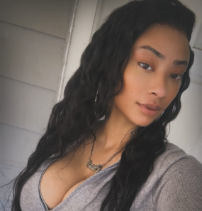 Model