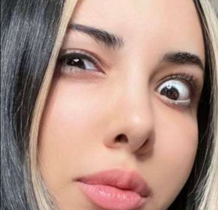 Model