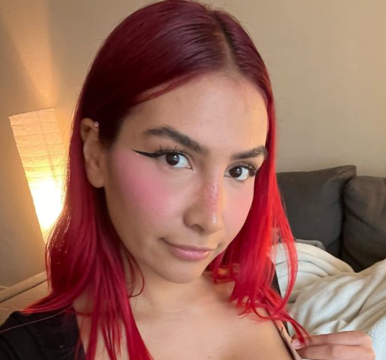 Model