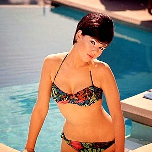 Model
